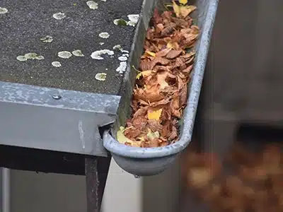 Canaleta obstruida con hojas secas acumuladas necesitando limpieza