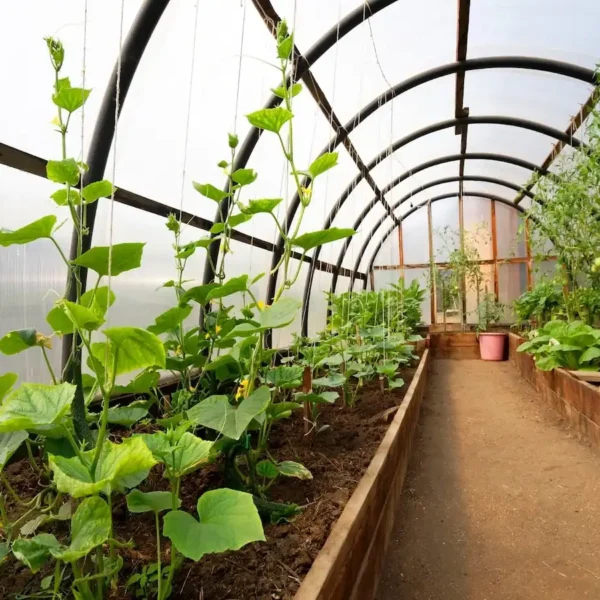 materiales-para-construir-un-invernadero